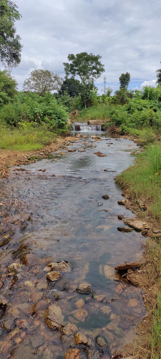 naveenkumarstyl's tweet photo. I love my native♥️ and #nature #NaturePhotography #naturelover #NaturalResources #NaturalBeauty Capture from my phone  #OnePlus #Oneplusindia #oneplus9pro5G https://t.co/zKKiJMOBP8
