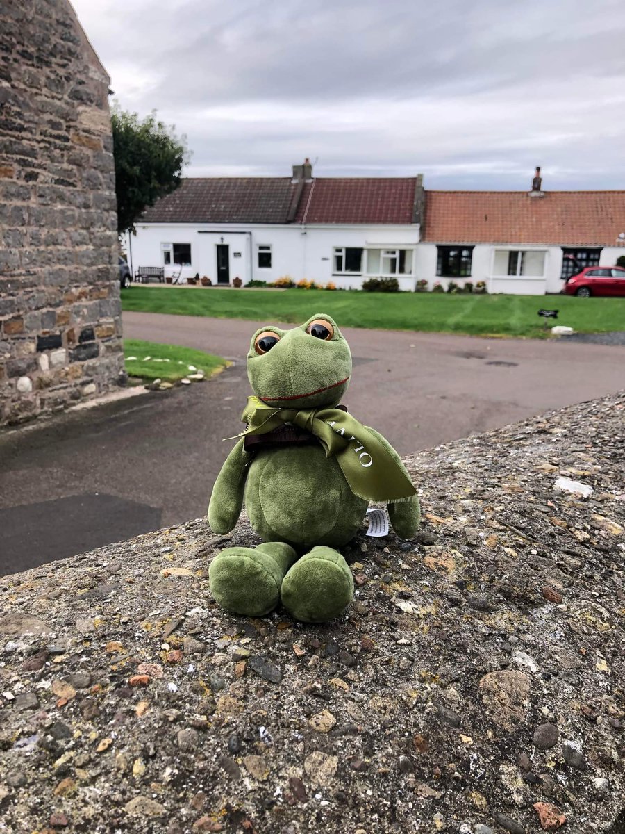 AlfredFrog's tweet photo. Here I am in Lindisfarne, Holy Island, England. I saw a seal!!! 🦭 https://t.co/noJr50YZpU