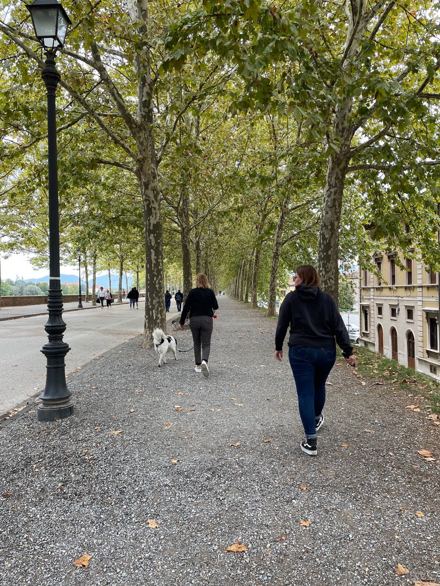 Andre Moniharapon tweet media