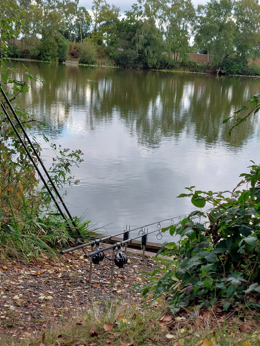 The carp aren't playing ball