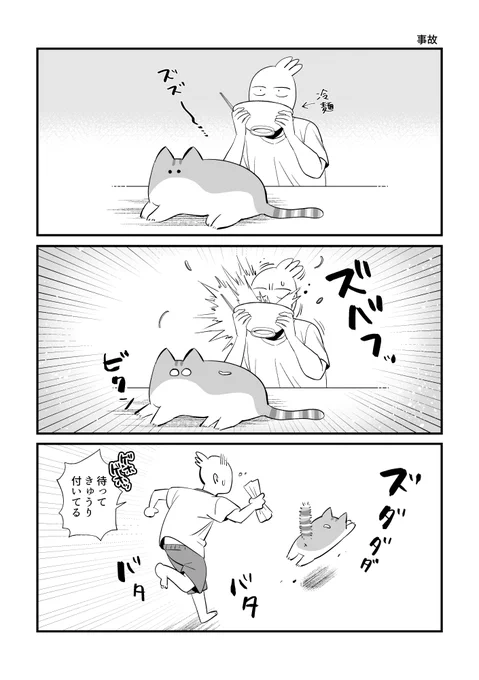 冷麺ってむせやすいよね #秀さんの今日の猫日記 