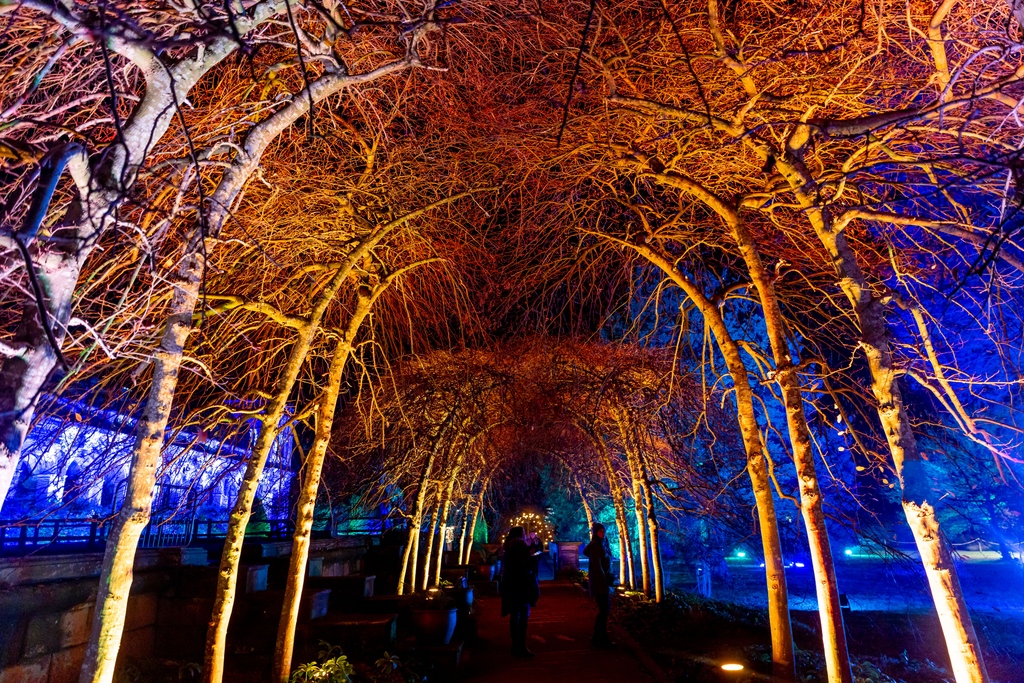 TrenthamLights's tweet photo. It's the season of falling leaves, pumpkins and fireworks; Autumn is officially here! 🍂

…and we're one step closer to the return of Christmas at Trentham! Who's got their tickets booked?

If you haven't, book now via https://t.co/hqfQgqHlsz 🔗 https://t.co/AY8FcjU7Wj