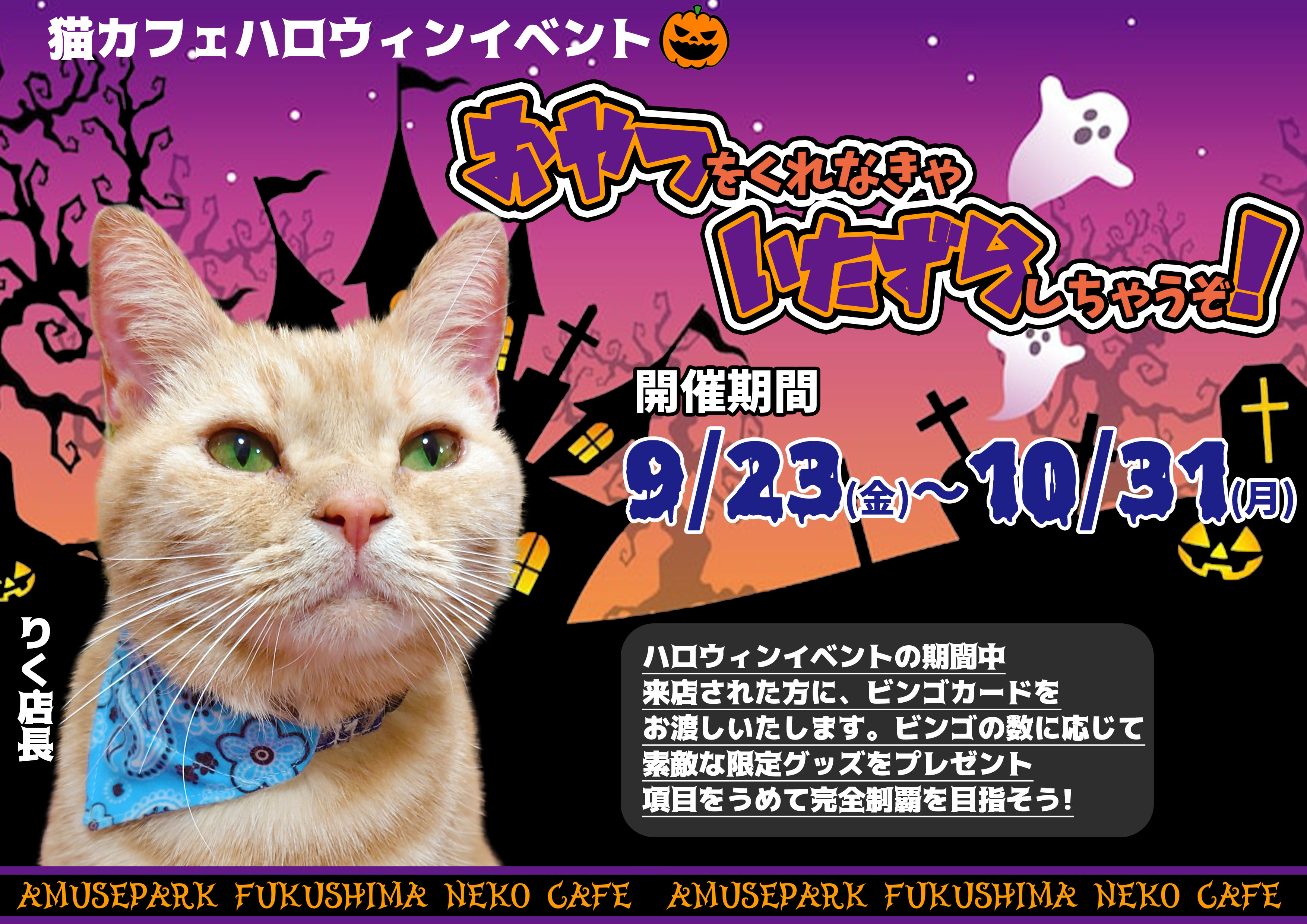 アミューズパーク福島 猫カフェ Kscapf03 Twitter