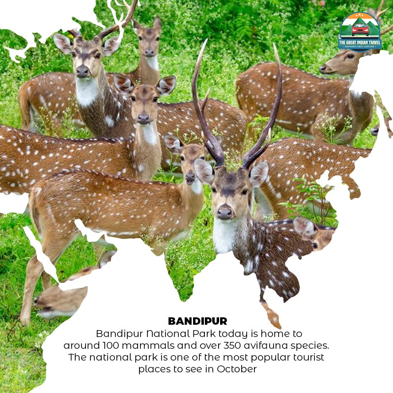 tgit2021's tweet photo. #Cherrapunji #Bandipur #Dwarka #Ziro #India #Explore #Travel #ExplorePage #Family #Friends https://t.co/2jkEUhtiHJ