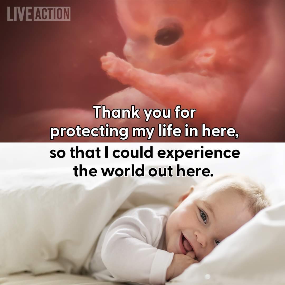 cullendoug's tweet photo. Choose Life Ministries will be sharing a Biblical Worldview of LIFE at Restoration Baptist church in Jacksonville, Fl tomorrow morning, Sunday, September 25, 2022, at 10:30. If we don't fight for the baby in the womb today, no one is safe tomorrow.
#chooselife
#Florida2022 https://t.co/2CbIM6SCbi