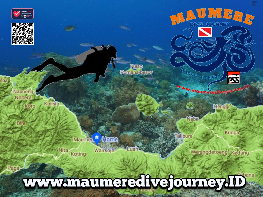 divejourney's tweet photo. Welcome to dive site in maumere of flores #divesite
#scuba
#divingcenter
#supportlocalpeople 
#pssdivingcenter
#psspeople https://t.co/zAYPxWW7kM