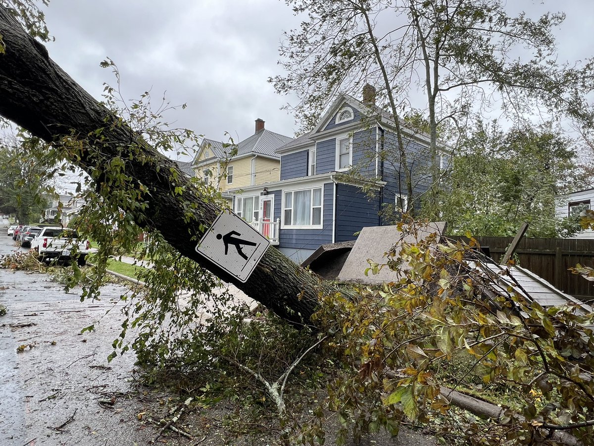 AnthonyFarnell's tweet photo. So many trees uprooted on houses, car and power lines in Sydney, NS. Unbelievable! #fiona https://t.co/wTVPqQwaFC
