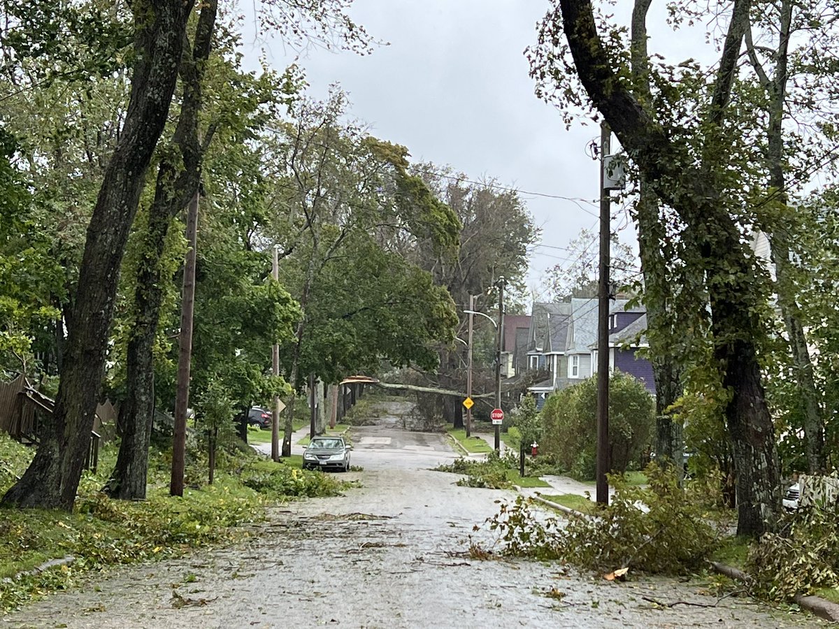 AnthonyFarnell's tweet photo. So many trees uprooted on houses, car and power lines in Sydney, NS. Unbelievable! #fiona https://t.co/wTVPqQwaFC