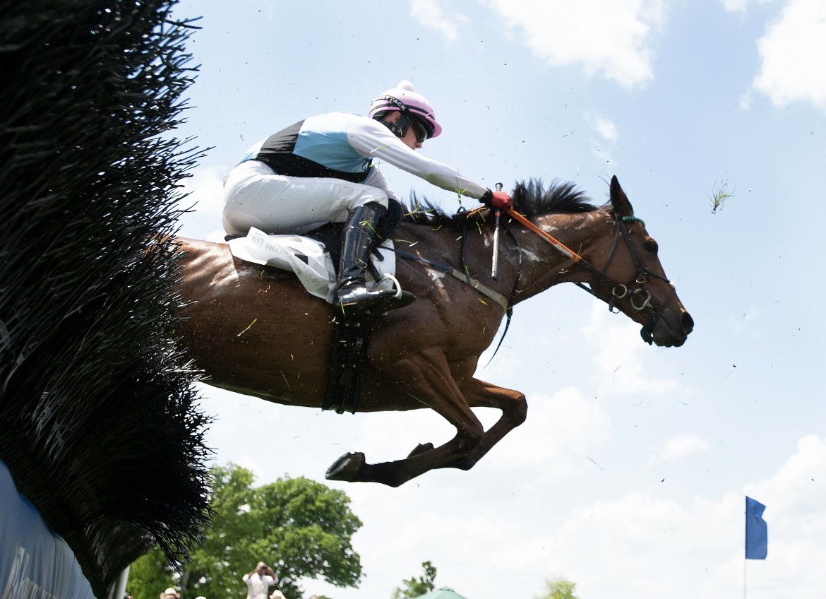 USASteeplechase's tweet photo. Carloun. The second maiden is for 4 year olds and up and features the rematch of Awakened and Roberts Luxury. (Noses apart last time out) Wishing everyone safe travels and the best of Luck💪🍂🐎#springheeledjim #agitare @AshwellStable @HendriksParker @johnnigmcfadden @trainerup1 https://t.co/DPTc1NXDwX