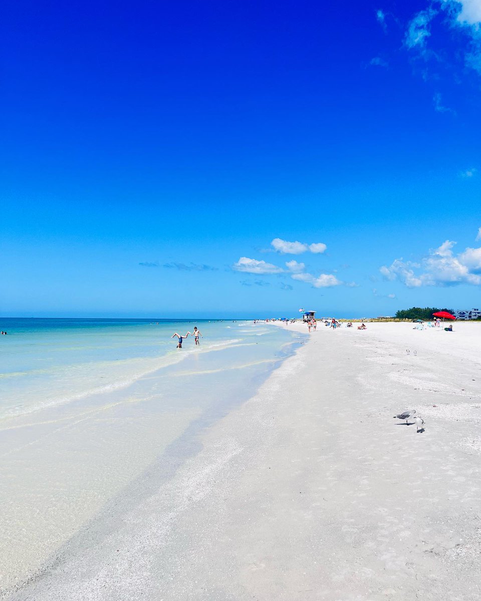 VisitSarasota's tweet image. Hello Lido Beach! ❤️🙌🌴 We love seeing these #FloridaFall vacation photos 😍 #sarasotabeachvibes

📷 @kristinachristakos