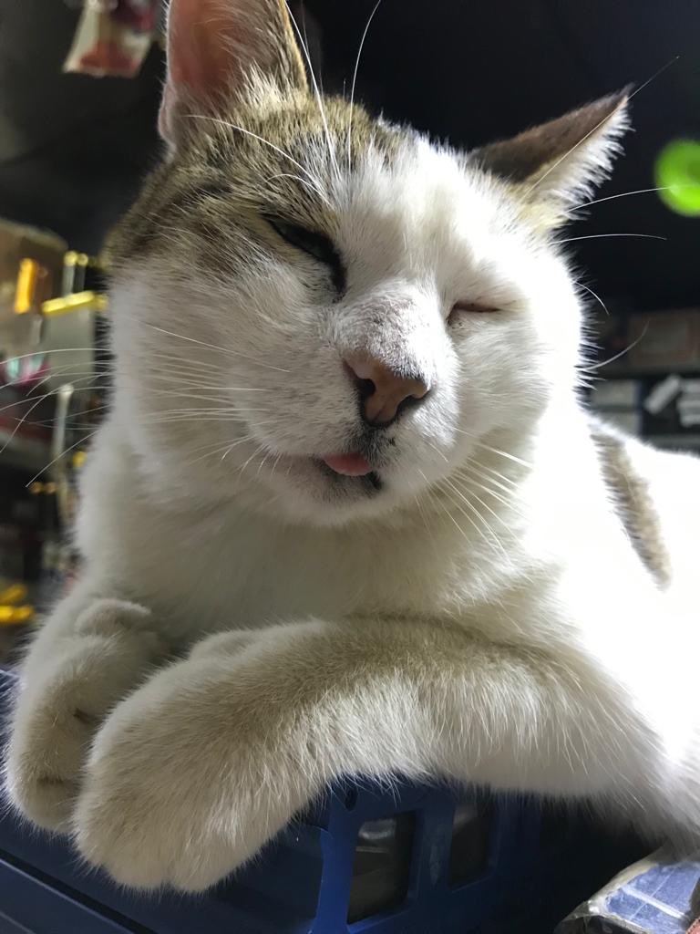 Selahattin (@selocan061) on Twitter photo 