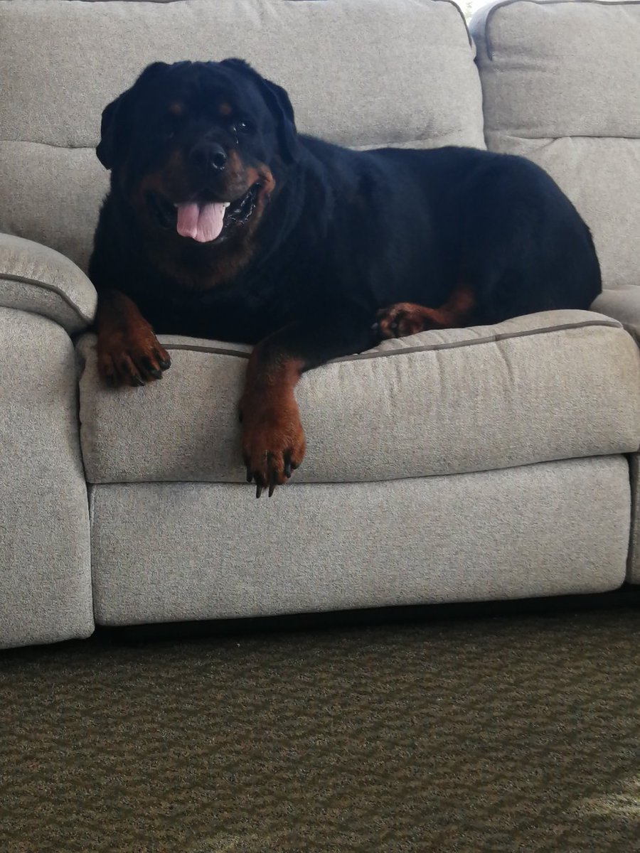 James Lewis tweet media