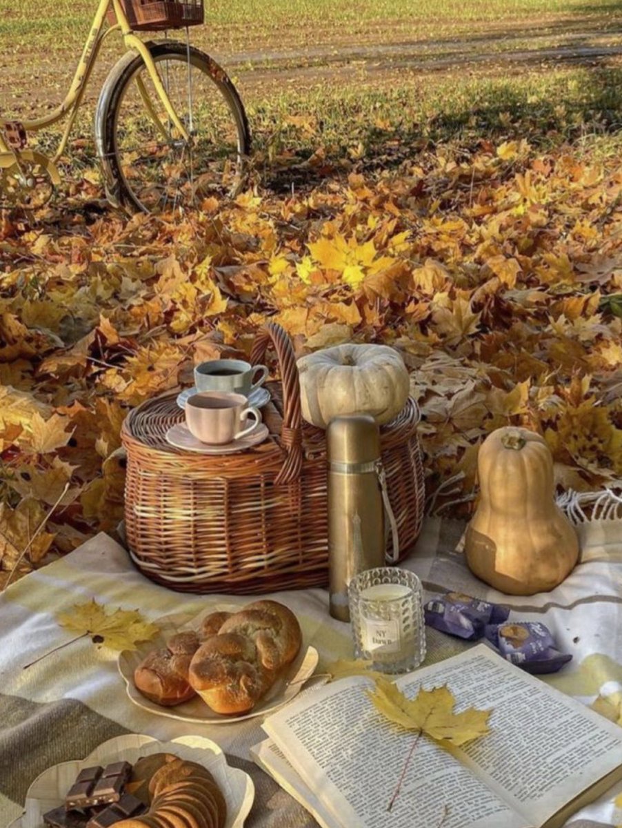 OfficialPLT's tweet photo. Autumn days 🧡 https://t.co/oS0ItxvBjB