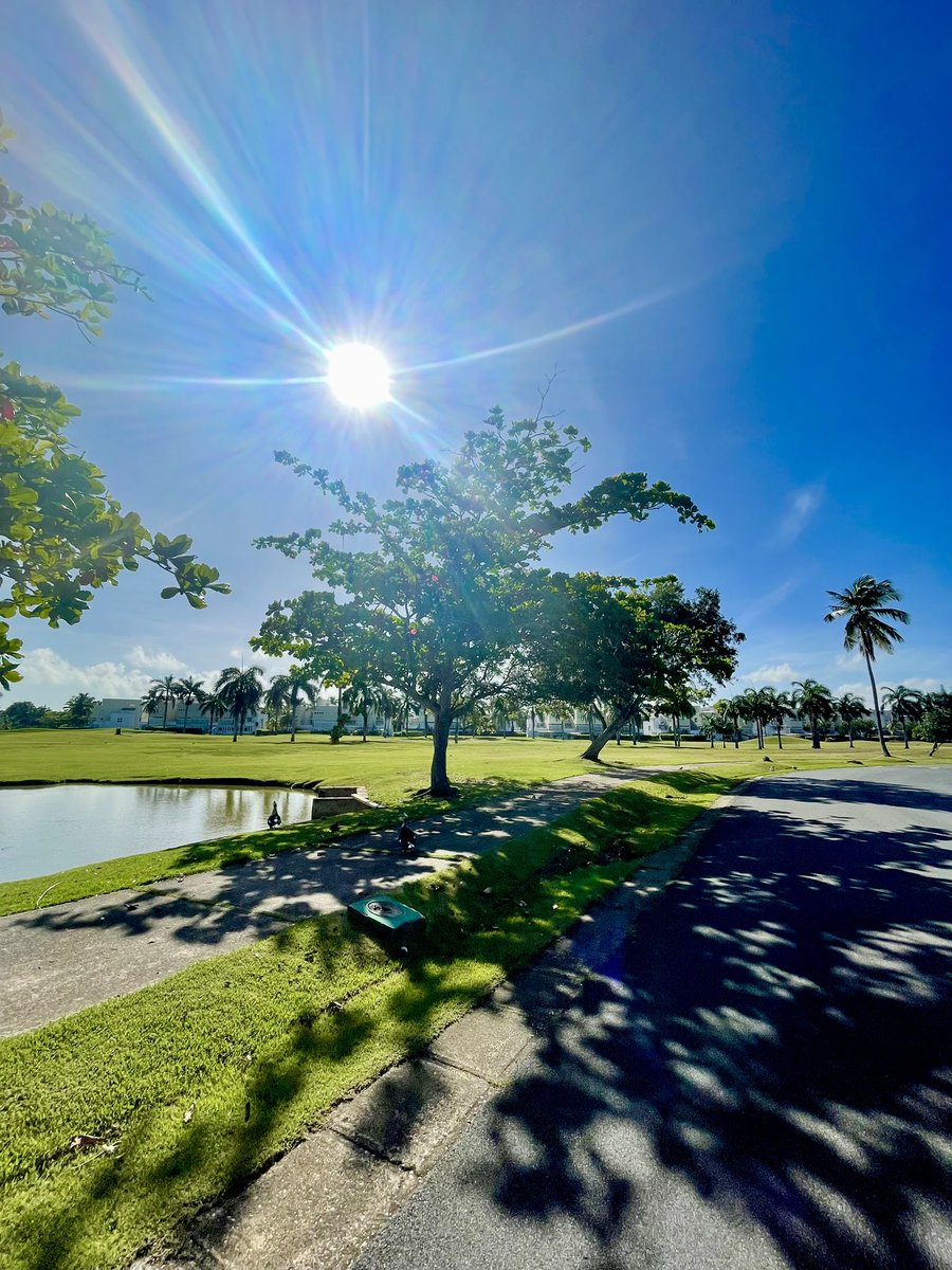 Noel Dávila tweet media