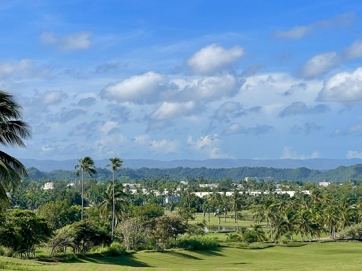 Noel Dávila tweet media