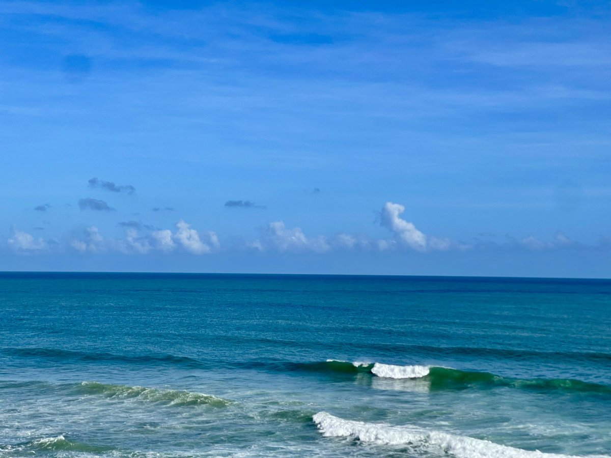 Noel Dávila tweet media