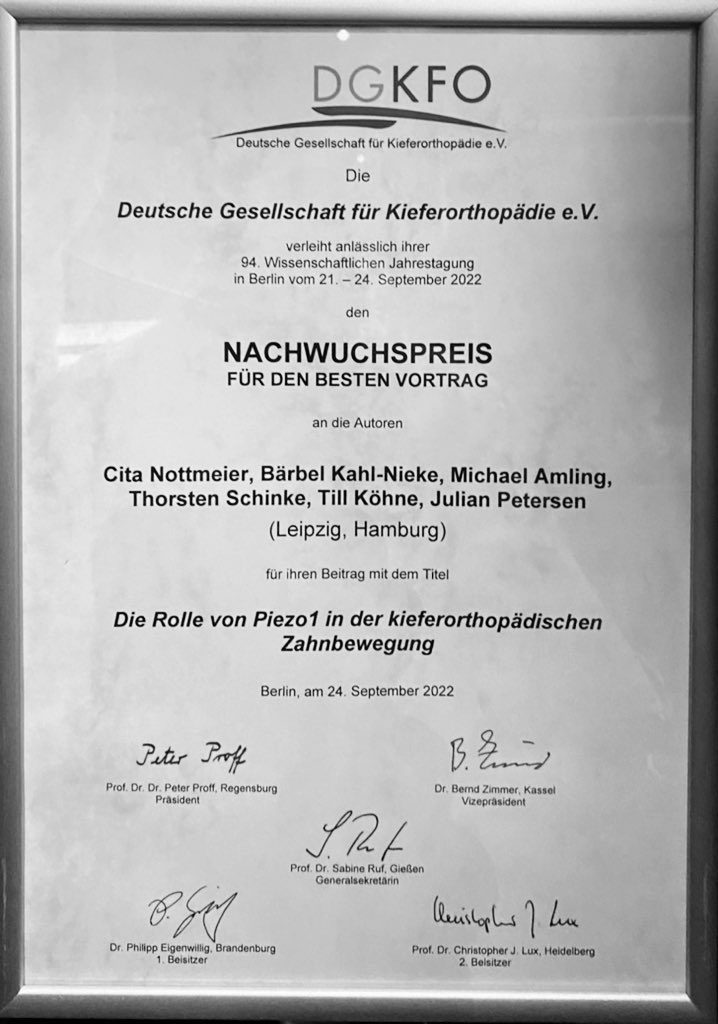 Julian Petersen tweet media