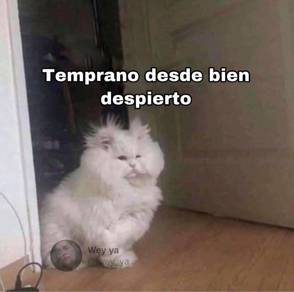 Guarromantico_'s tweet photo. https://t.co/QwMGvlwxOM