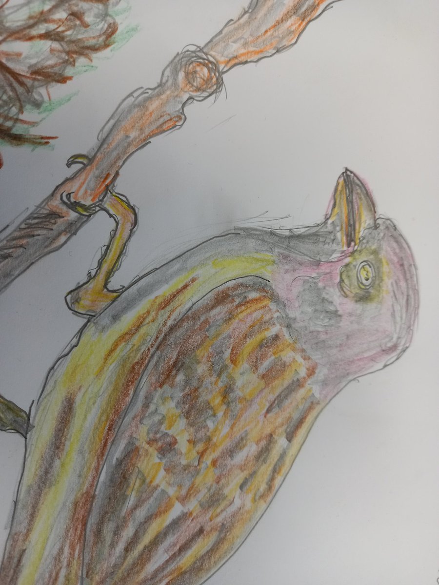 We held an art competition for our gents to enter.
Together with our gents we chose the winners