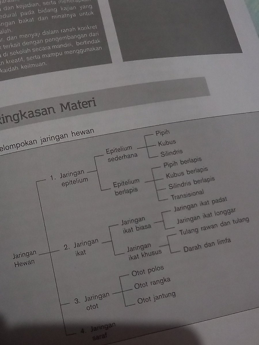 prettymustyou's tweet photo. Lanjut bio ya, teman teman https://t.co/S8YPLcnBC8