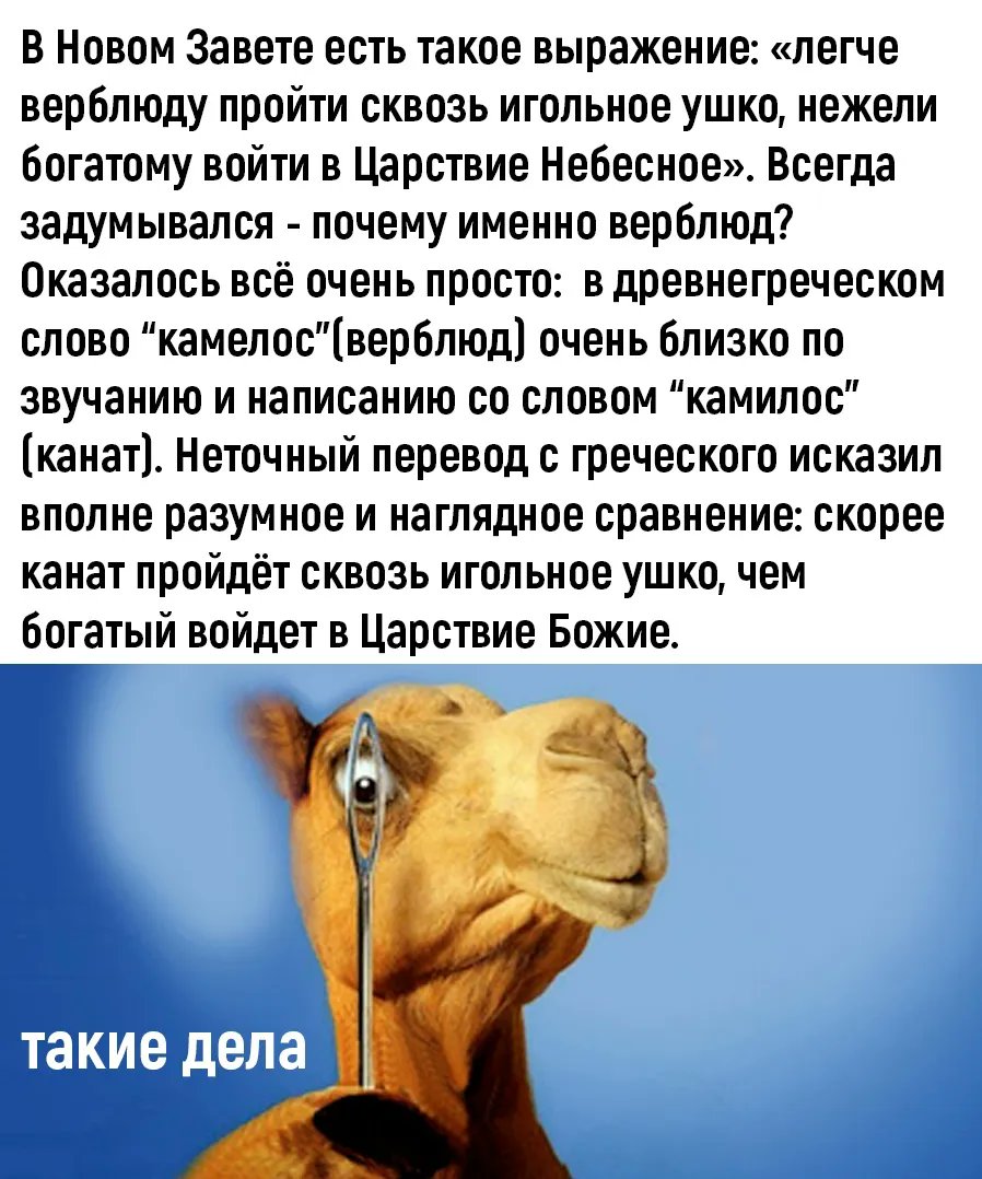 легче верблюду пройти сквозь игольное ушко. мамонт рисунок. удобнее верблюду пройти сквозь игольные уши. легче верблюду пройти сквозь игольное ушко. удобнее верблюду пройти сквозь игольные уши.