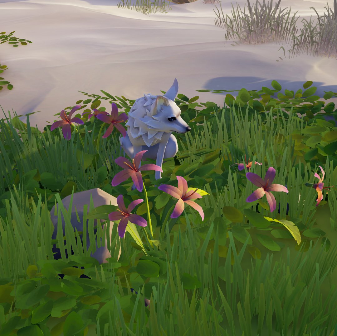 Princess Fox #SeaOfThieves