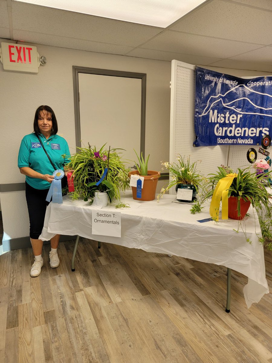 elevatephoenix's tweet photo. Another great day yesterday at Fall Fest! A great big congratulations goes out to Laura Desalvo who received 1st place in ornamentals. Now on to Day 3!! https://t.co/XwZBEzuWLt