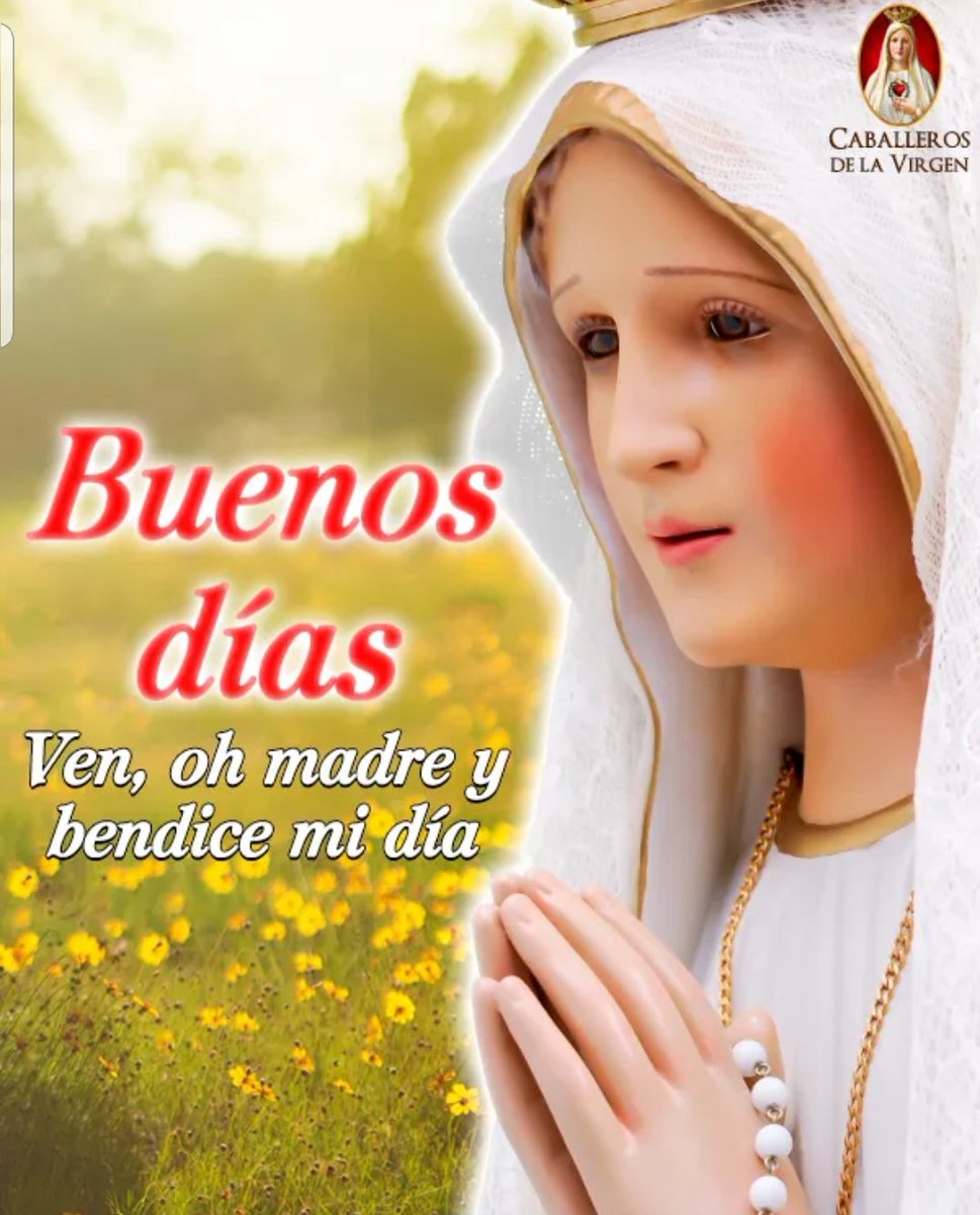 RuizHurtadoRE's tweet photo. ¡Buenos Días!
Nuestra Señora, con su bondad, nos invita a ser también buenos para con los demás. #NoTeResistas a esta invitación. #Seamos como Ella. ¡Amén! https://t.co/4wGItLSLc1