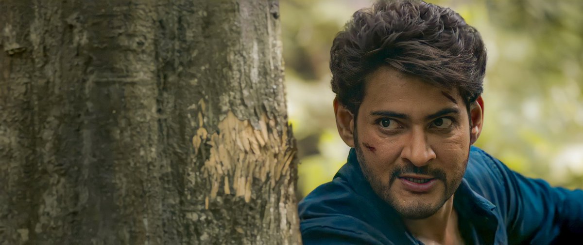 Greekgodssmb___'s tweet photo. Tomorrow ( 25th Sep, 2022):-
1) #SarkaruVaariPaata At 5:30pm on
@StarMaa
❤🔥
2) #SarileruNeekevvaru At 6pm on
@GeminiTV
🔥
#BabuAnteBabuEy
@urstrulyMahesh
#MaheshBabu
@iamRashmika
@KeerthyOfficial
#WorldwideMBFans #Dhfm #StarMaa #GeminiTV
#SSMB #SSMB29 https://t.co/yHy74GdWF0