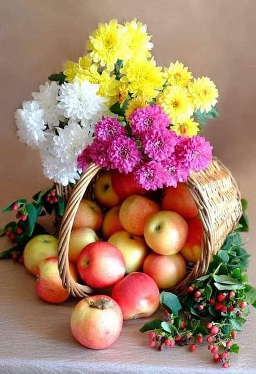 darinapaz991's tweet photo. Сентябрь - это когда воздух пахнет яблоками, астрами и хризантемами... https://t.co/UTqwAtuCf9