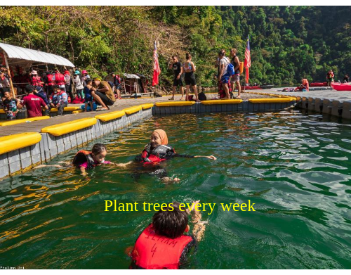 UPlantATree's tweet image. Check out Kyrie by Mr. Mister (1986), youtube.com/results?search…, reuse and wash all garbage, #commbuild