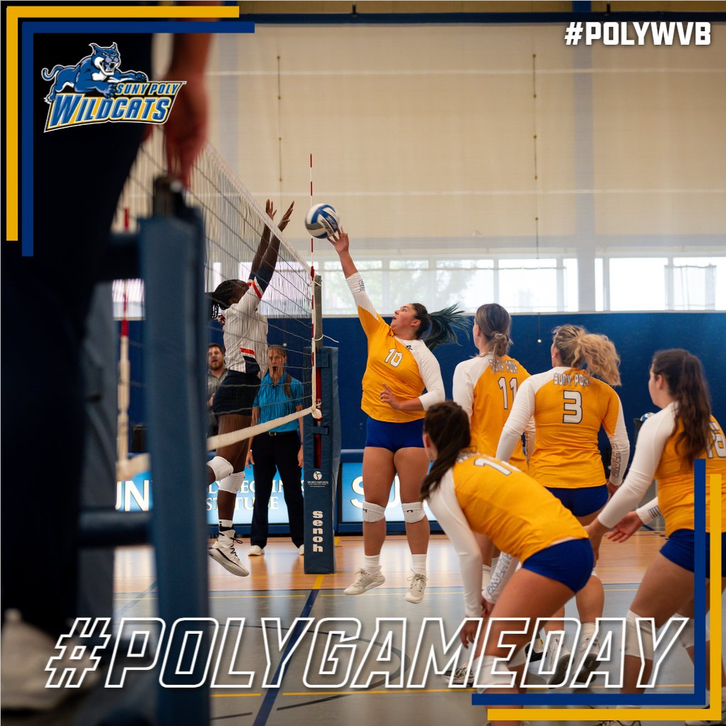 PolyWildcats's tweet photo. #PolyGameday๐ก๐ต๐
Womenโs volleyball a @nacathletics tri-match with Cazenovia and Canton today!
๐ - 11:00 AM / 1:00 PM / 3:00 PM
๐ - Wildcat Field House
๐บ๐ - https://t.co/oRf07Lykai
#PolyWVB #d3vb https://t.co/olUIc3zQ0J