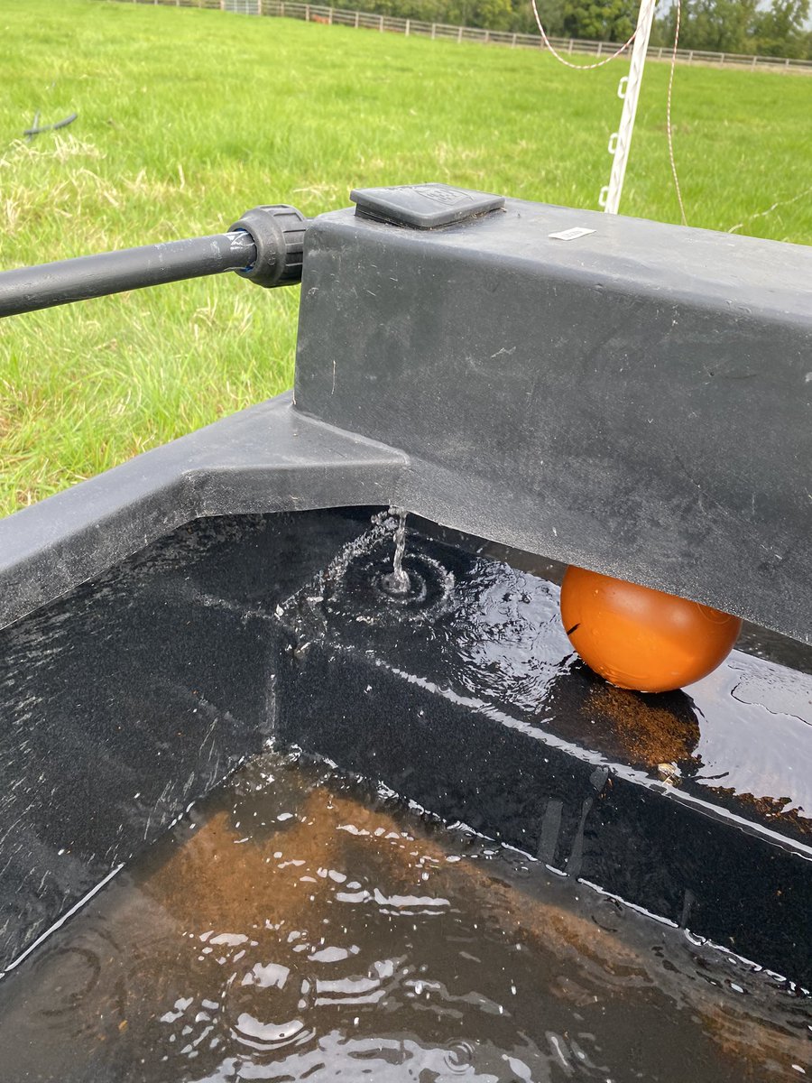 RoisinCondell's tweet photo. Our small calf to beef enterprise finally set up properly 
New water system ✅
Temporary fencing up and live ✅ https://t.co/pLDbEEaMnZ