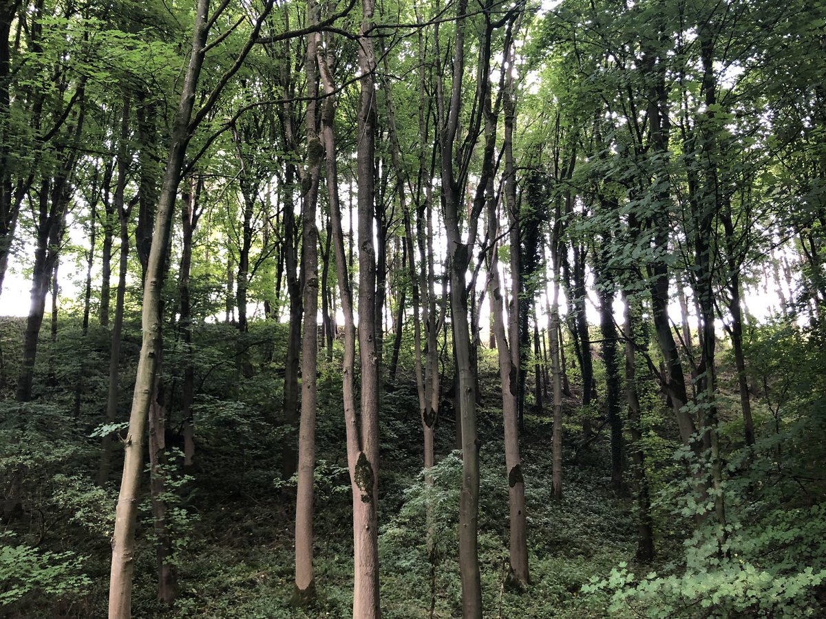 Sarah Marsh tweet media