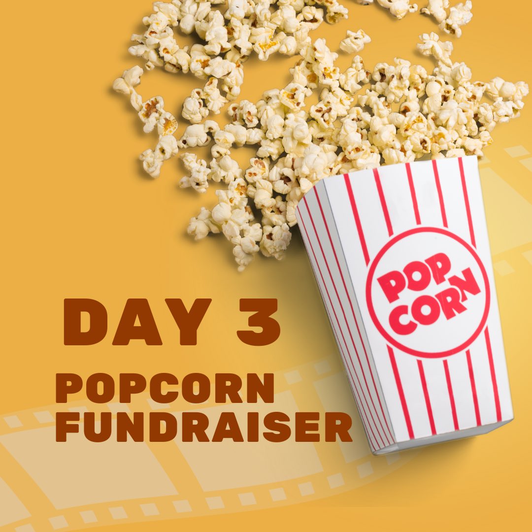 St. Kate's Softball tweet media