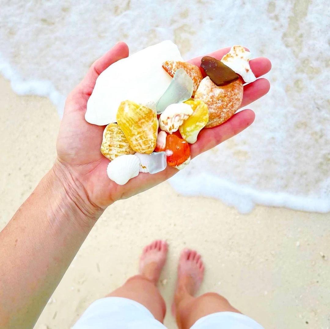 FLStateParksFdn's tweet photo. Calling all collectors and treasure hunters! Retweet if you collect shells and like if youโre a sea glass hunter.
IG: @lower48tradingco
At Fort Zachary Taylor Historic State Park
#FloridaStateParks #FloridaStateParksFoundation #ExploreFLParks #TheRealFlorida https://t.co/4MGKC4b6IA
