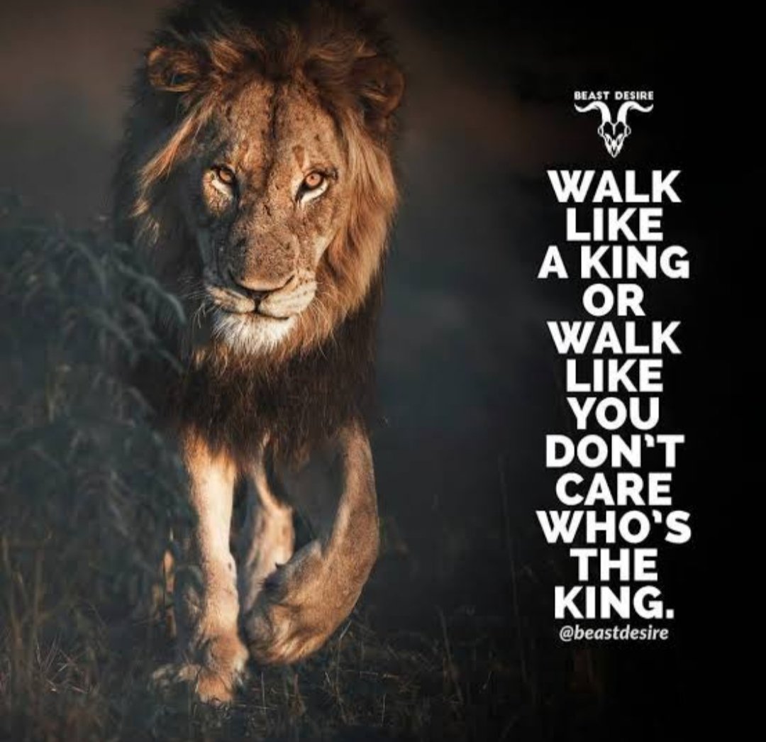 aguileon's tweet photo. I don't care who's tha King 👑😜 https://t.co/gqoVSMaDOB