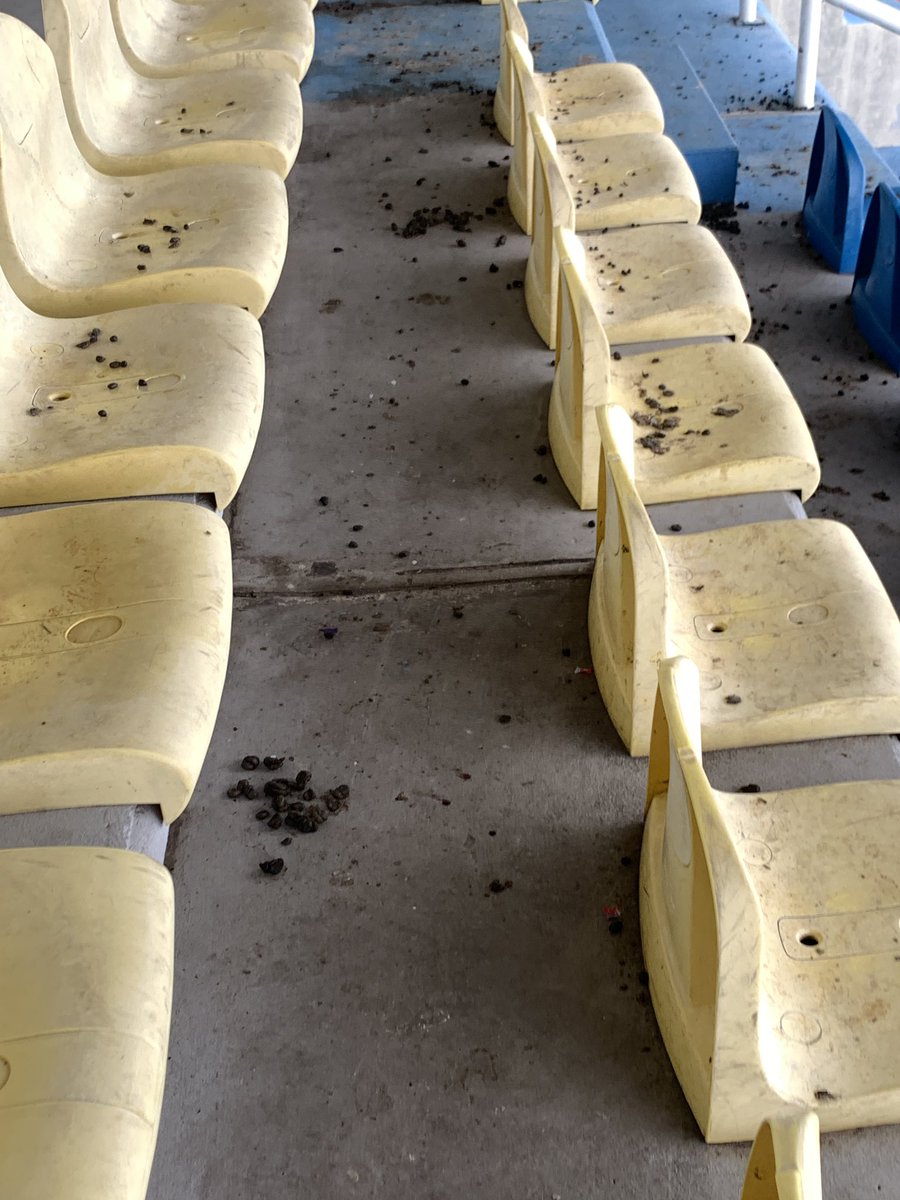 oraidee's tweet photo. @LigaFUTVEJunior @fvf_oficial estás NO son las condiciones para jugar, comer ni disfrutar de un juego. Así encontramos las instalaciones de la base área en Maracay. Hay que exigir mantenimiento y limpieza a los locales. No a todos nos gusta estar rodeados de HECES DE CHIVOS https://t.co/pA2YqJrKg8