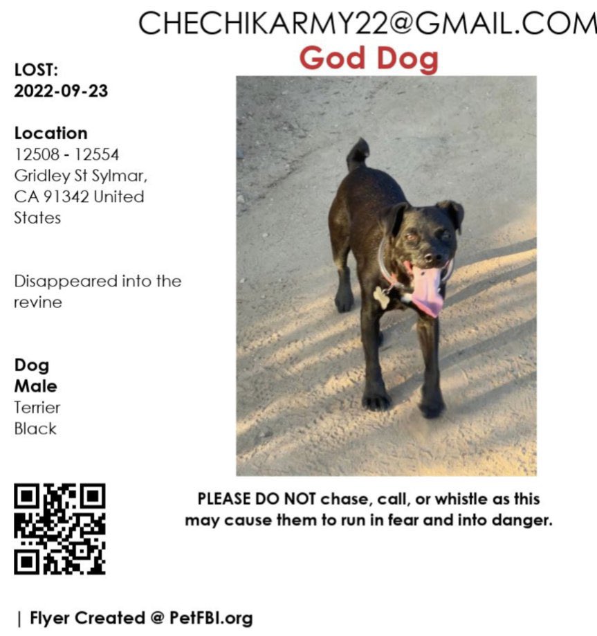 EVERYONE RETWEET THIS! <a href="/adrianachechik/">adriana chechik</a> Dog is missing! Anything helps!