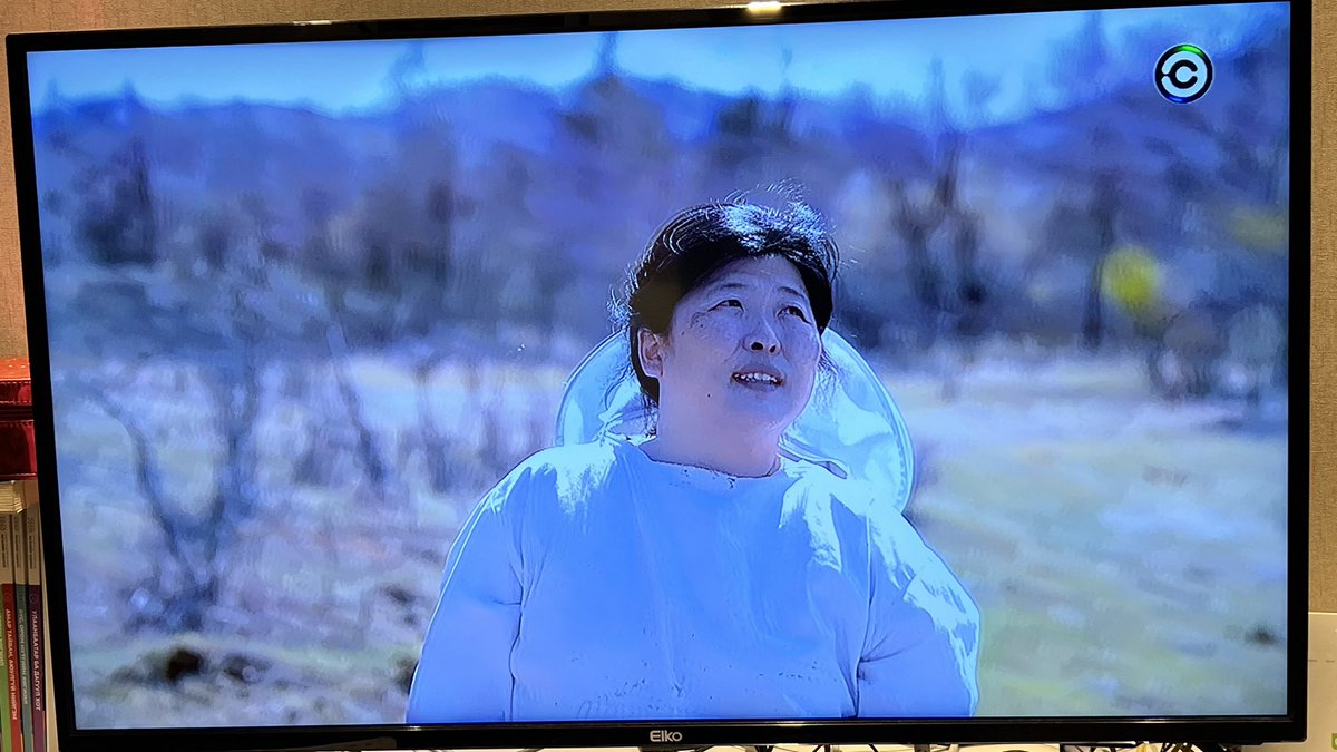 📺  <a href="/Centraltvmn/">Central Television</a> телевизийн салбарт өнгө нэмж байна даа.

📈 CNBC телевизийн “The Profit” реалити шоуг Азидаа анх удаа бүтээжээ. Эхний дугаарт <a href="/TomokoIbukuro/">TOMOKO</a>-гийн компани орж, Томоко 12 хувийн хувьцаатай, бал нь лаг брэндинг (<a href="/MglUgly/">oдк•</a>)-тэй болов. 
 
<a href="/AnkhbayarGan/">Ankhbayar G</a> <a href="/temuulen384/">Temuulen</a> 👏