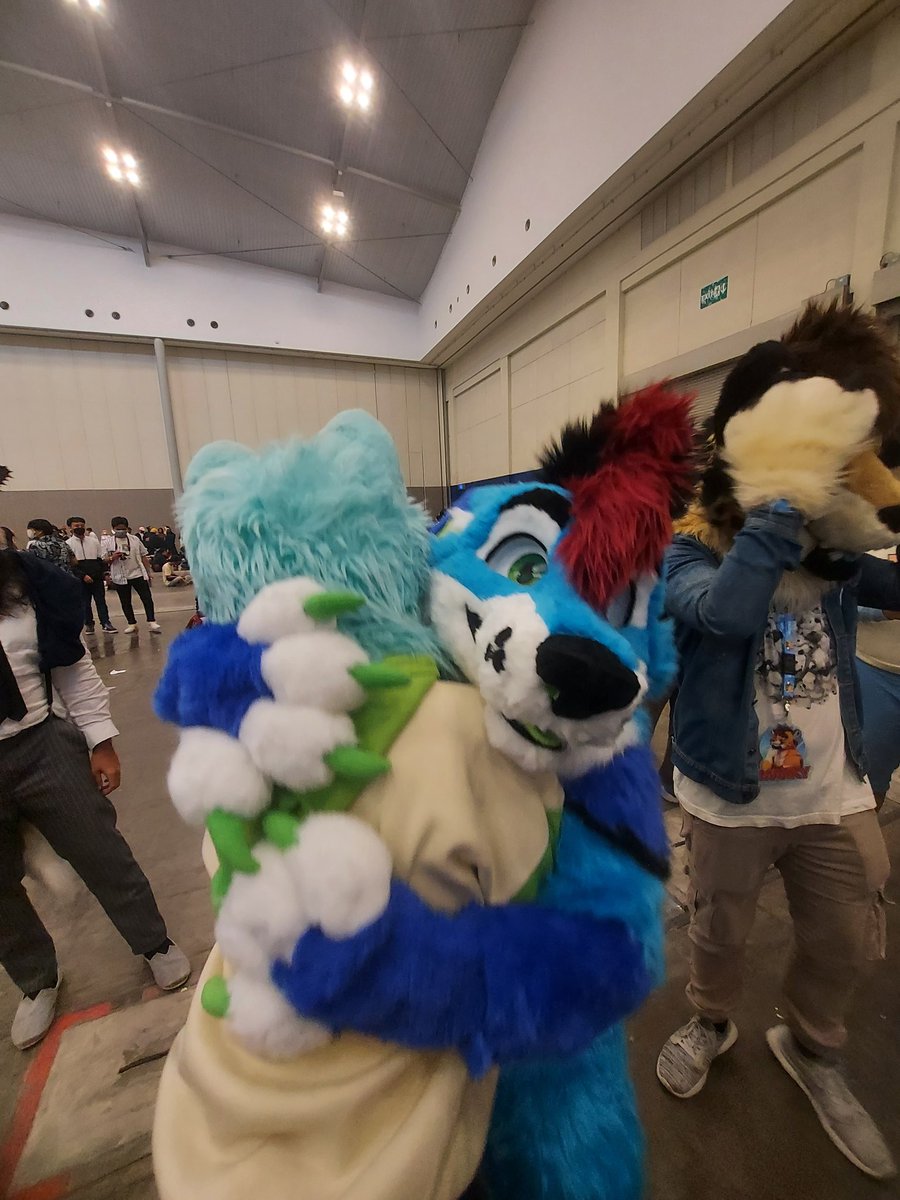 Rooky Fox 💙💚 on Twitter "Fluffy friends at comifuro15 Day 1"