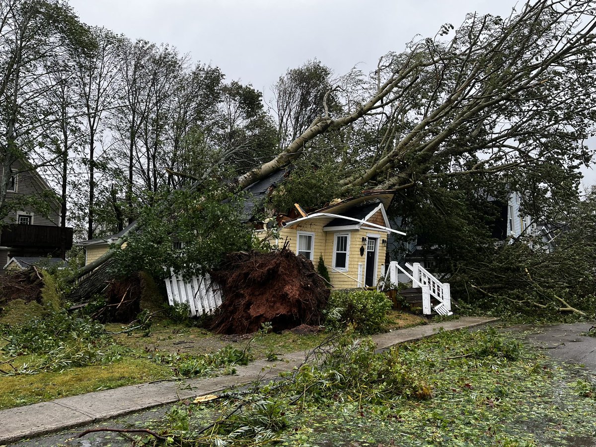 Further down our street.