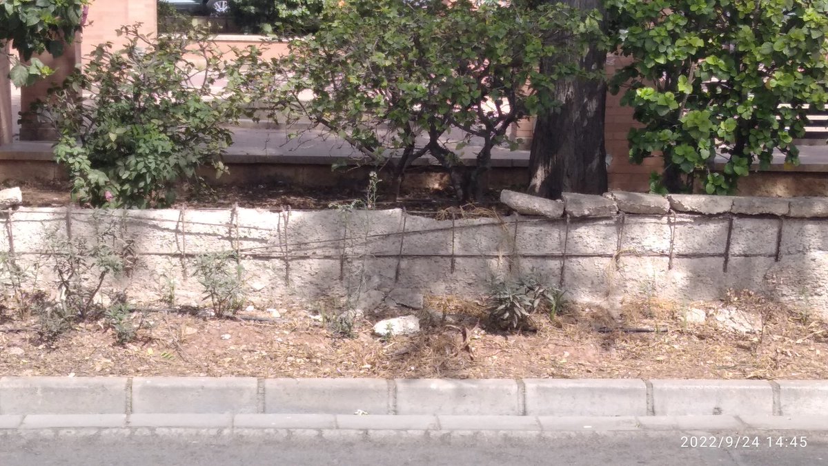 Manolo_GA's tweet photo. Hola @aytoalm @AnaMartinezLab1 @sanchezgdavid a esta zona de la Rambla, a la altura de la finca Santa Isabel, no le vendría mal un repasillo para arreglar este murete, gracias. Un saludo https://t.co/3tk7XgyoLH