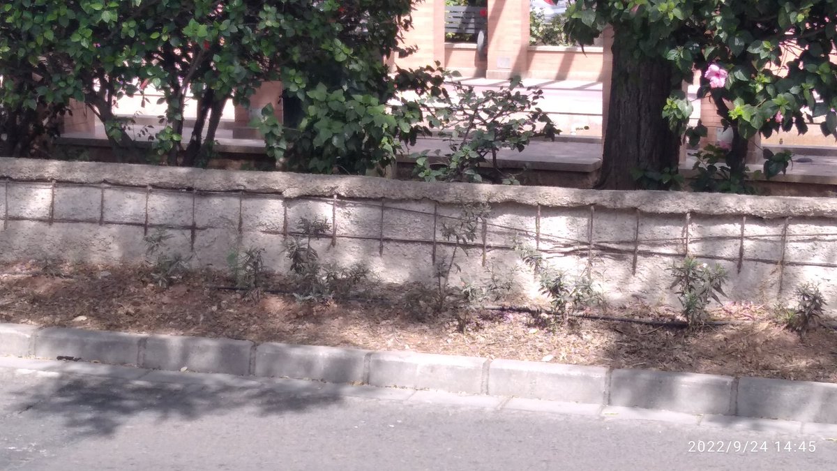 Manolo_GA's tweet photo. Hola @aytoalm @AnaMartinezLab1 @sanchezgdavid a esta zona de la Rambla, a la altura de la finca Santa Isabel, no le vendría mal un repasillo para arreglar este murete, gracias. Un saludo https://t.co/3tk7XgyoLH