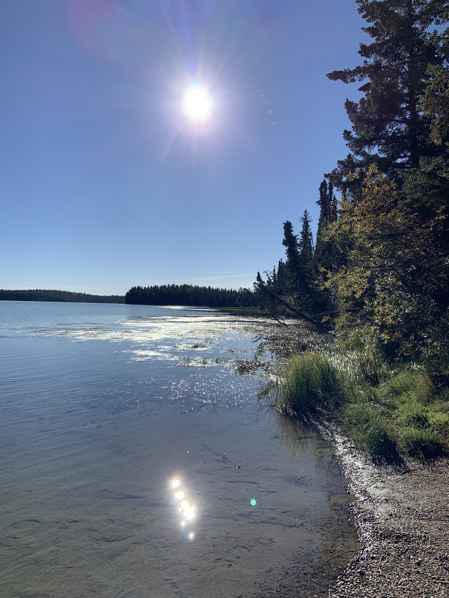 DonaldaPelton's tweet photo. Obed Lake in Obed Lake Provincial Park — Quaint area for a stop while traveling. 

Great place to enjoy the views and the peacefulness of the area. 

#explorealberta #albertaparks https://t.co/2j1H4V8dEu