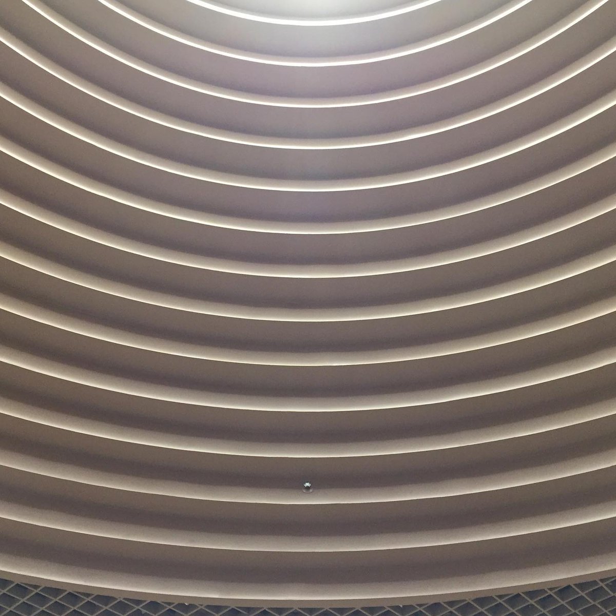 Patterns of Life NFT tweet media