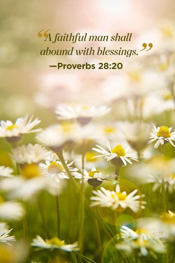 A faithful man shall abound with blessings: but he that maketh haste to be rich shall not be innocent. Proverbs 28:20 

#bible #NFT #NFTs #FreeMint