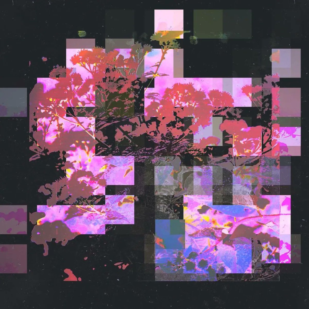 union_app's tweet photo. Repost: @jamesdaus
Romantics (2022)
Artwork available to download and license on @artgrab.co
#pixiteapps #unionapp #hyperspektiv #mextures #decim8 #digitalart #abstractart #glitchart #albumart #albumcover #artgrab #artistsoninstagram https://t.co/cbpeadMY9M
