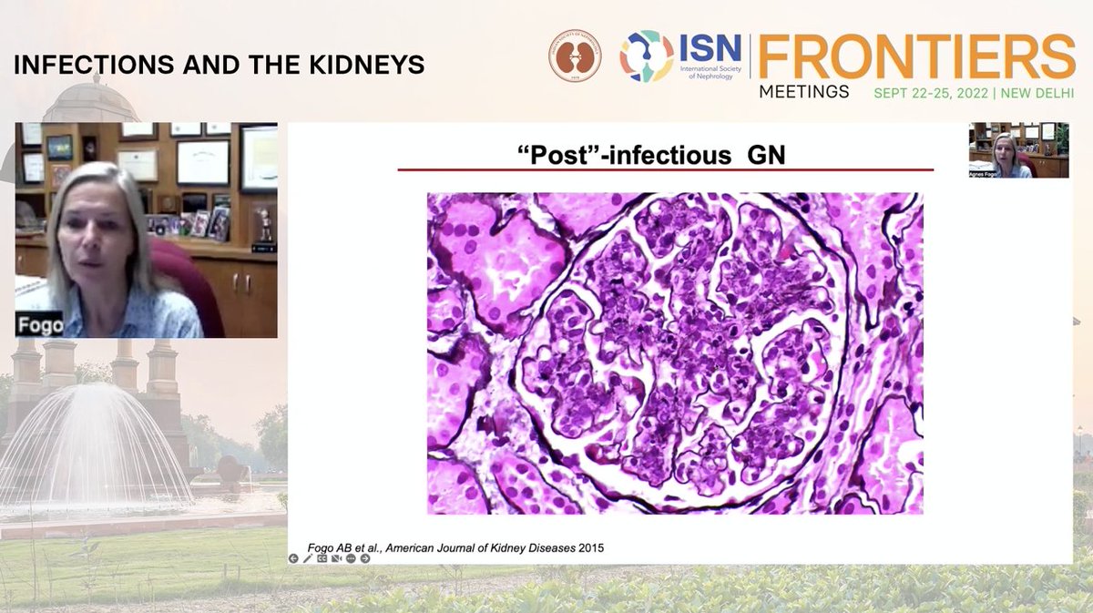 Fernanda Arce-Amaré tweet media
