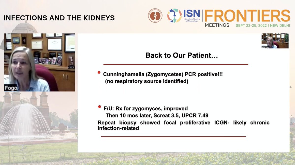 Fernanda Arce-Amaré tweet media